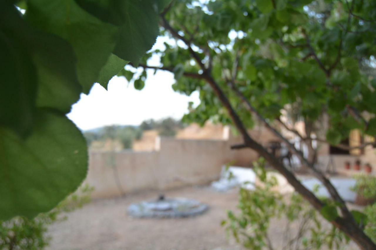 Our Villa'S Private Apartments - Hq Budget Stay - Wonderful Horizon View Of Jerash Jarash Esterno foto